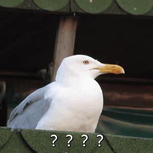 DƬ